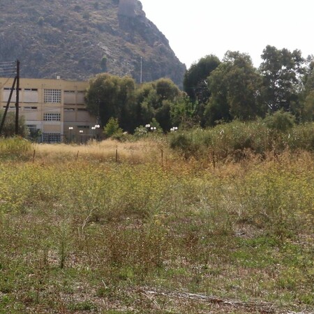 ΚΑΘΑΡΙΣΜΟΣ ΟΙΚΠΕΔΩΝ ΠΡΟΣΤΙΜΑ ΠΡΟΘΕΣΜΙΑ