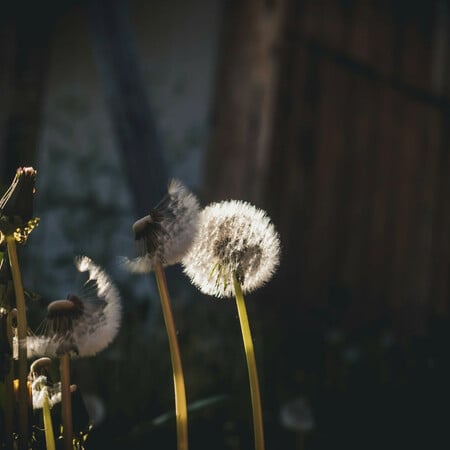 ΚΑΙΡΟΣ ΜΑΡΟΥΣΑΚΗΣ ΠΡΩΤΟΜΑΓΙΑ
