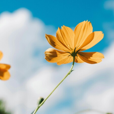 ΚΑΙΡΟΣ ΑΥΡΙΟ ΣΚΟΝΗ