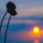 Μεταξύ μας... τι συμβαίνει;