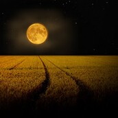 Η τελευταία φορά