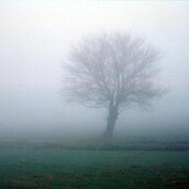 Κοτοπουλόσουπα με γαμοπίλαφο