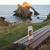 BookCrossing: Ήρθε για να μείνει ;