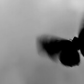 Πάνω από τις στέγες της μικρής μας πόλης