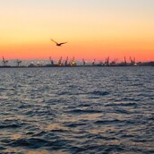 Σπασμένος εσωτερικός διάλογος δύο νυχτερινών μονολόγων