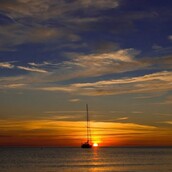 ΠΡΟΣ: summertime sadners ΘΕΜΑ: Είμαστε όλοι ιπποπόταμοι