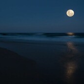 Ο μουσικός της θάλασσας