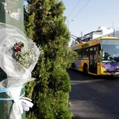 Περί ''απλώς τελούσε το επάγγελμά του''