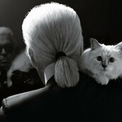 Tι κάνει η Choupette, η γάτα του Καρλ Λάγκερφελντ, ένα χρόνο μετά το θάνατό του;