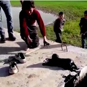 Τουρκία: 10χρονος έσωσε κουτάβι που είχε πέσει σε δεξαμενή πετρελαίου