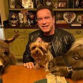 Ο Άρνολντ Σβαρτζενέγκερ έχει για κατοικίδια πόνι και γαϊδουράκι - Τα παίρνει μαζί στην δουλειά