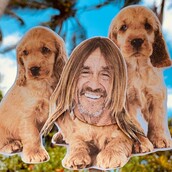 Ο Iggy Pop διαβάζει μια επιστολή προς τον αγαπημένο του σκύλο