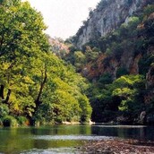 Το περιβάλλον, ζωτικό μέρος της λύσης