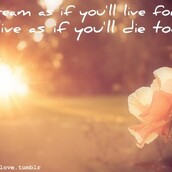'' Dream on ''