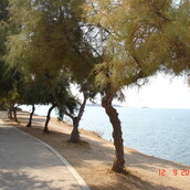 Το παράδοξο