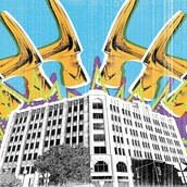 Καταλήψεις: Στείρα Αντίδραση ή Αφορμή για Δημιουργία;***