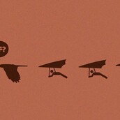 Δεν γίνεσαι μαλθακός απ' την παιδεία***