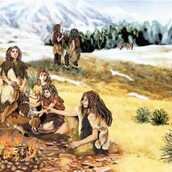 Μια χορτοφάγος με πολιτικά ένστικτα****