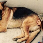 O πλούτος του Πλούτο