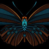 Τ'ανοικτά φτερά...***