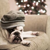 Η απαισιοξία των Χριστουγέννων