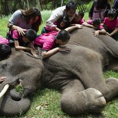 Τυφλά και αυτιστικά παιδιά αγκαλιάζουν τον ελέφαντα που τα βοηθά να αναπτύξουν δεξιότητες
