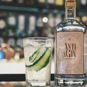 SHUT UP AND TAKE MY MONEY - Τζιν που καταπολεμά τις ρυτίδες;