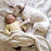 Νόρα: Η κακοποιημένη σκυλίτσα που έτρεμε τους πάντες εκτός από το μωρό αυτό