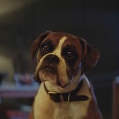 Αυτή είναι η πιο τέλεια χριστουγεννιάτικη διαφήμιση για φέτος (μέχρι τώρα)