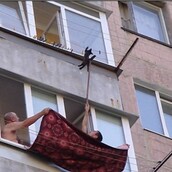 Δύο άντρες προσπαθούν να σώσουν ένα γατάκι και γίνονται ήρωες της ημέρας