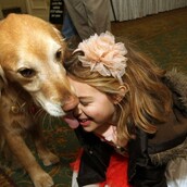 Γιατί τα σκυλιά πρέπει να είναι κοινωνικοποιημένα