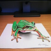 Ο καλλιτέχνης Νίκολα Κούλιτς παίζει με την 3D ψευδαίσθηση και μας μπερδεύει