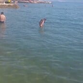 Το οld time classic καλοκαιρινό fail - Οι δύο άντρες που παίζουν (;) φρίσμπι στην παραλία