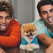 Σκύλοι και γάτες στο Instagram: Αυτά είναι τα διασημότερα κατοικίδια με τους περισσότερους followers το 2017