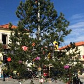 Το πιο λούμπεν Χριστουγεννιάτικο δέντρο είναι φέτος στην Πελοπόννησο