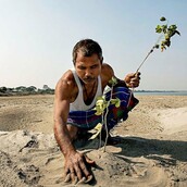 Πριν από 40 χρόνια ένας 16χρονος άρχισε να φυτεύει δέντρα σε ένα απομονωμένο νησί και τώρα είναι αγνώριστο