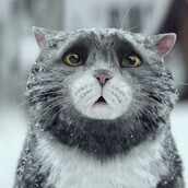 Η αδέξια αλλά γλυκύτατη γάτα Mog επιστρέφει, στο νέο χριστουγεννιάτικο σποτ των Sainsbury's