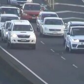 Οδηγοί σταματούν ο ένας πίσω από τον άλλο για να περάσει πάπια με τα μικρά της στη Νέα Ζηλανδία - BINTEO