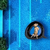 30 νέες φωτογραφίες απ' τα τέλεια ζώα των αναγνωστών μας