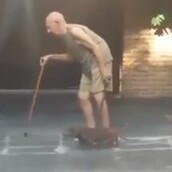 O πιο υπομονετικός σκύλος του κόσμου