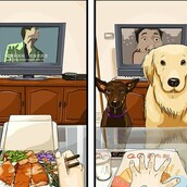 Πώς είναι η ζωή πριν πάρεις σκύλο και πώς μετά