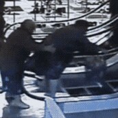 Stairway to heaven. Το viral της γιαγιάς στις κυλιόμενες σκάλες, ξεκαρδίζει το ίντερνετ