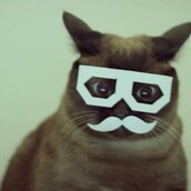 Τι ονειρεύονται οι στέρεο γάτες τα Σαββατόβραδα;