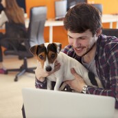 Αυτή είναι η καλύτερη επιχείρηση του κόσμου για να δουλεύεις παίρνοντας μαζί και τον σκύλο σου (ή τη γάτα σου)