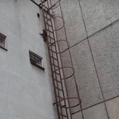 Η γάτα νιντζα κατεγράφη να ξεδιπλώνει το ακροβατικό της ταλέντο σε σκάλα