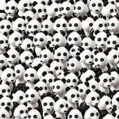 Βρείτε τον σκύλο ανάμεσα στα πάντα...