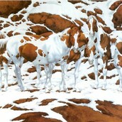 Πόσα άλογα βλέπετε στη φωτογραφία;