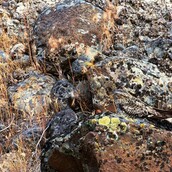 Κουίζ: Μόνο πέτρες;