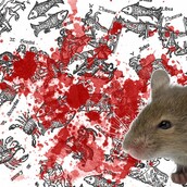 Ζώδια και Ζωόδια: Οι αλύπητες αστρολογικές προβλέψεις μηνός Ιουνίου