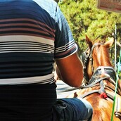 Καρτ ποστάλ από την Πόλη****